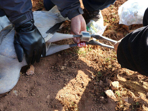 2015��2�»Һ�׷��