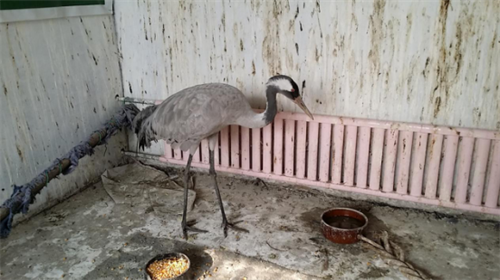 97622��������Ʒ��,����Ұ������׷��,��������׷����,����׷����