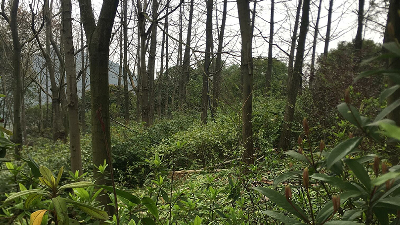 97622��������Ʒ��,����Ұ������׷��,��������׷����,����׷����