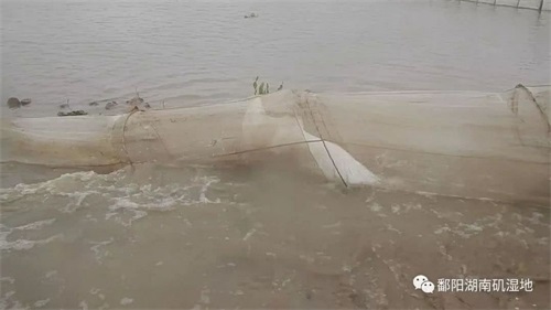 97622��������Ʒ��,����Ұ������׷��,��������׷����,����׷����