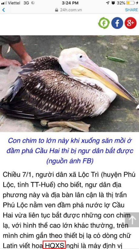 97622��������Ʒ��,����Ұ������׷��,��������׷����,����׷����