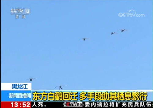 97622��������Ʒ��,����Ұ������׷��,��������׷����,����׷����