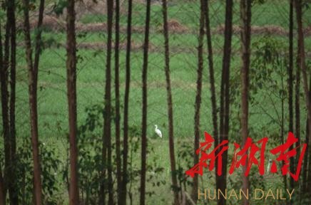 ���������Ͳ�,�Ͳ���,�Ͳ��,����ʱ���,�����,�Ͳ����Ǯ,�Ͳ�������,�Ͳ������