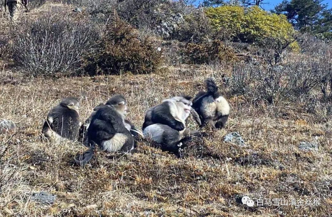 ���������Ͳ�,�Ͳ���,�Ͳ��,����ʱ���,�����,�Ͳ����Ǯ,�Ͳ�������,�Ͳ������