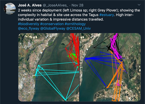 97622��������Ʒ��,����Ұ������׷��,��������׷����,����׷����