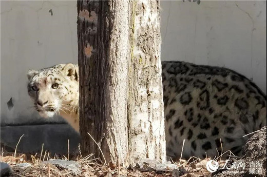 97622��������Ʒ��,����Ұ������׷��,��������׷����,����׷����