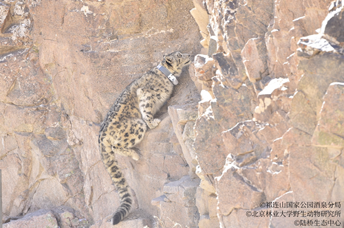 97622��������Ʒ��(�й���)-�ٷ���վ