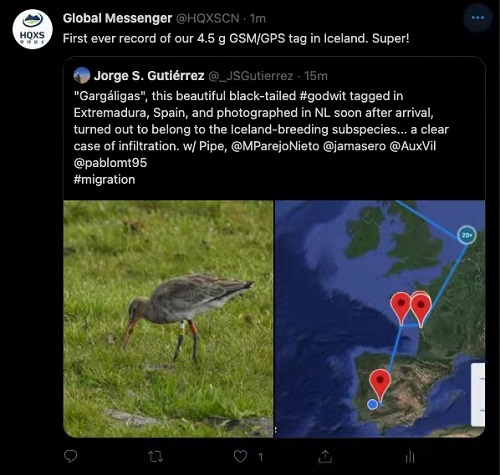 97622��������Ʒ��,����Ұ������׷��,��������׷����,����׷����