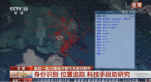 97622��������Ʒ��,����Ұ������׷��,��������׷����,����׷����