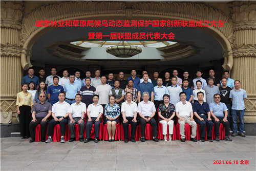 97622��������Ʒ��,����Ұ������׷��,��������׷����,����׷����