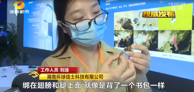 97622��������Ʒ��,����Ұ������׷��,��������׷����,����׷����