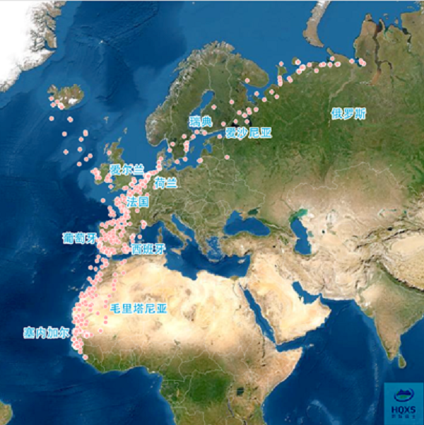 97622��������Ʒ��,����Ұ������׷��,��������׷����,����׷����