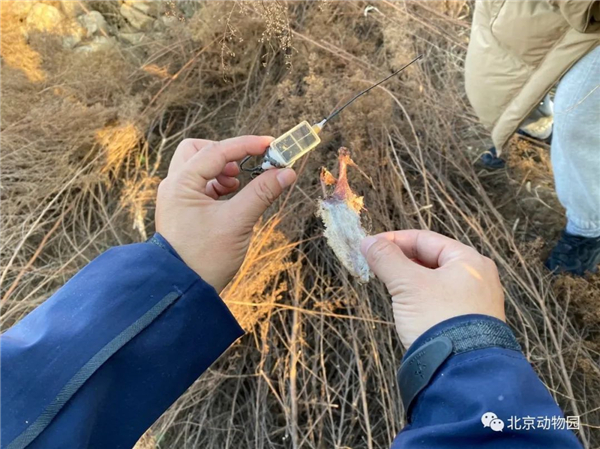 97622��������Ʒ��,����Ұ������׷��,��������׷����,����׷����