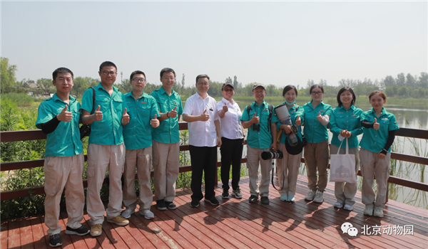 97622��������Ʒ��,����Ұ������׷��,��������׷����,����׷����