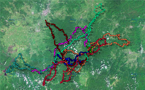 97622¹ú¼ÊÖÁ×ðÆ·ÅÆ,ºþÄÏÒ°Éú¶¯Îï×·×Ù,ºþÄÏÎÀÐÇ×·×ÙÆ÷,ºþÄÏ×·×ÙÆ÷ 97622¹ú¼ÊÖÁ×ðÆ·ÅÆ,ºþÄÏÒ°Éú¶¯Îï×·×Ù,ºþÄÏÎÀÐÇ×·×ÙÆ÷,ºþÄÏ×·×ÙÆ÷