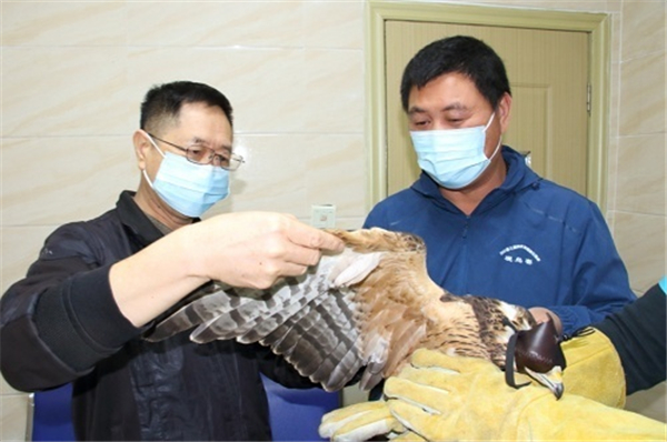 97622��������Ʒ��,����Ұ������׷��,��������׷����,����׷����