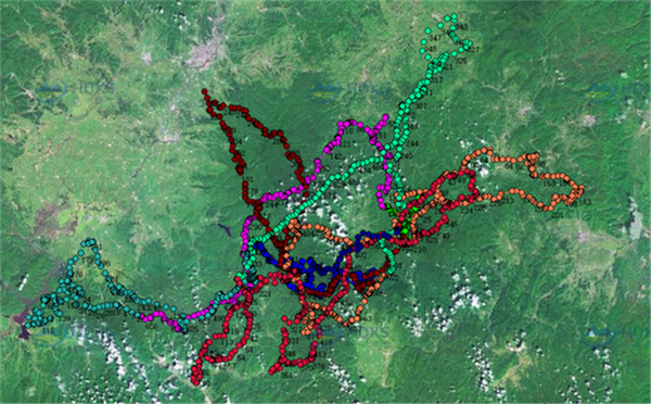 97622��������Ʒ��,����Ұ������׷��,��������׷����,����׷����