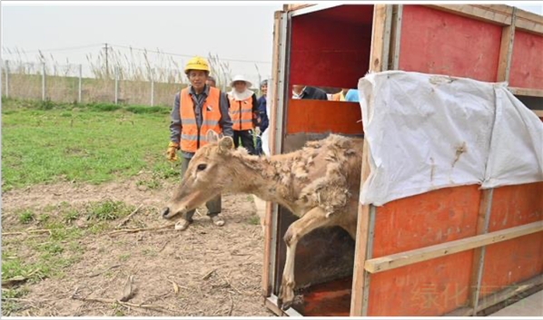 97622��������Ʒ��,����Ұ������׷��,��������׷����,����׷����