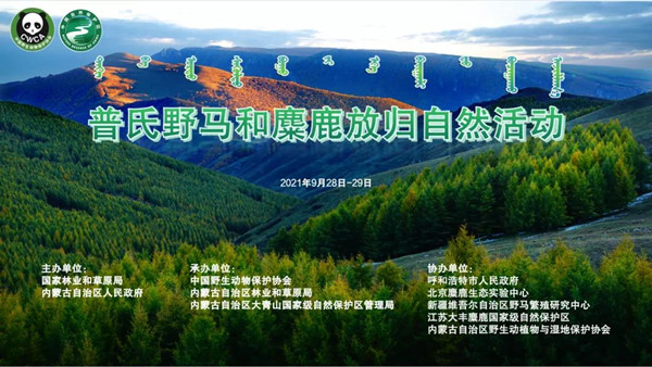 97622��������Ʒ��,����Ұ������׷��,��������׷����,����׷����