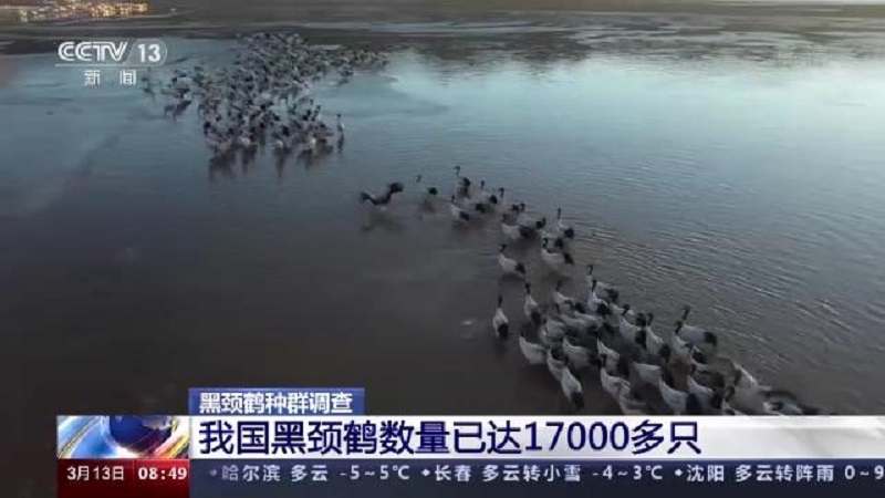 97622¹ú¼ÊÖÁ×ðÆ·ÅÆ,ºþÄÏÒ°Éú¶¯Îï×·×Ù,ºþÄÏÎÀÐÇ×·×ÙÆ÷,ºþÄÏ×·×ÙÆ÷ 97622¹ú¼ÊÖÁ×ðÆ·ÅÆ,ºþÄÏÒ°Éú¶¯Îï×·×Ù,ºþÄÏÎÀÐÇ×·×ÙÆ÷,ºþÄÏ×·×ÙÆ÷