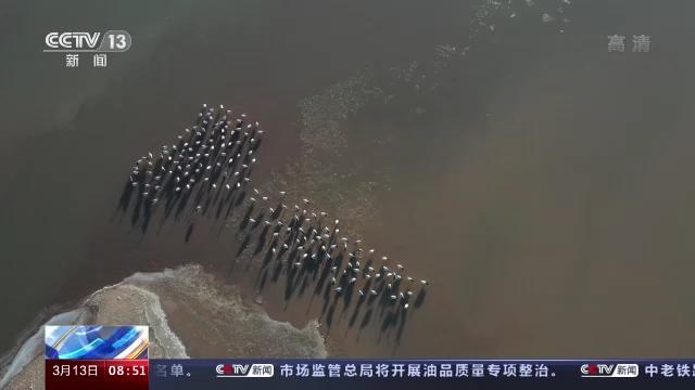 97622¹ú¼ÊÖÁ×ðÆ·ÅÆ,ºþÄÏÒ°Éú¶¯Îï×·×Ù,ºþÄÏÎÀÐÇ×·×ÙÆ÷,ºþÄÏ×·×ÙÆ÷ 97622¹ú¼ÊÖÁ×ðÆ·ÅÆ,ºþÄÏÒ°Éú¶¯Îï×·×Ù,ºþÄÏÎÀÐÇ×·×ÙÆ÷,ºþÄÏ×·×ÙÆ÷