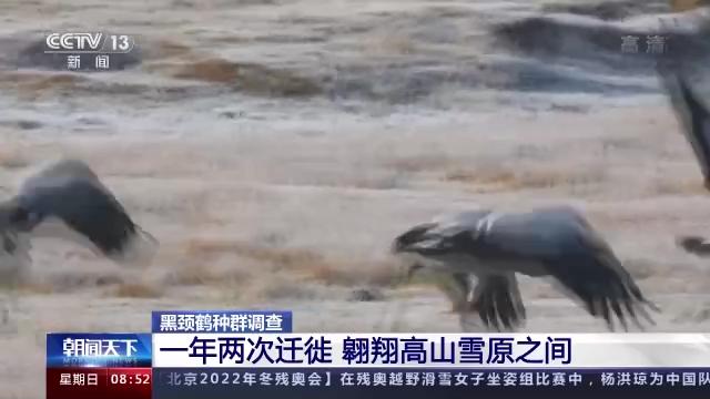 97622¹ú¼ÊÖÁ×ðÆ·ÅÆ,ºþÄÏÒ°Éú¶¯Îï×·×Ù,ºþÄÏÎÀÐÇ×·×ÙÆ÷,ºþÄÏ×·×ÙÆ÷ 97622¹ú¼ÊÖÁ×ðÆ·ÅÆ,ºþÄÏÒ°Éú¶¯Îï×·×Ù,ºþÄÏÎÀÐÇ×·×ÙÆ÷,ºþÄÏ×·×ÙÆ÷