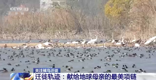 97622��������Ʒ��,����Ұ������׷��,��������׷����,����׷����