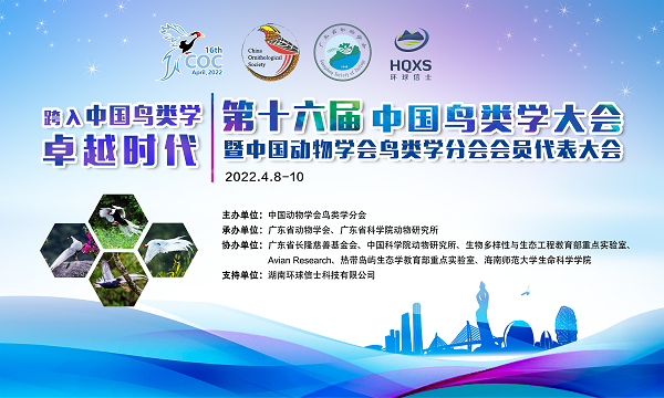 97622��������Ʒ��,����Ұ������׷��,��������׷����,����׷����