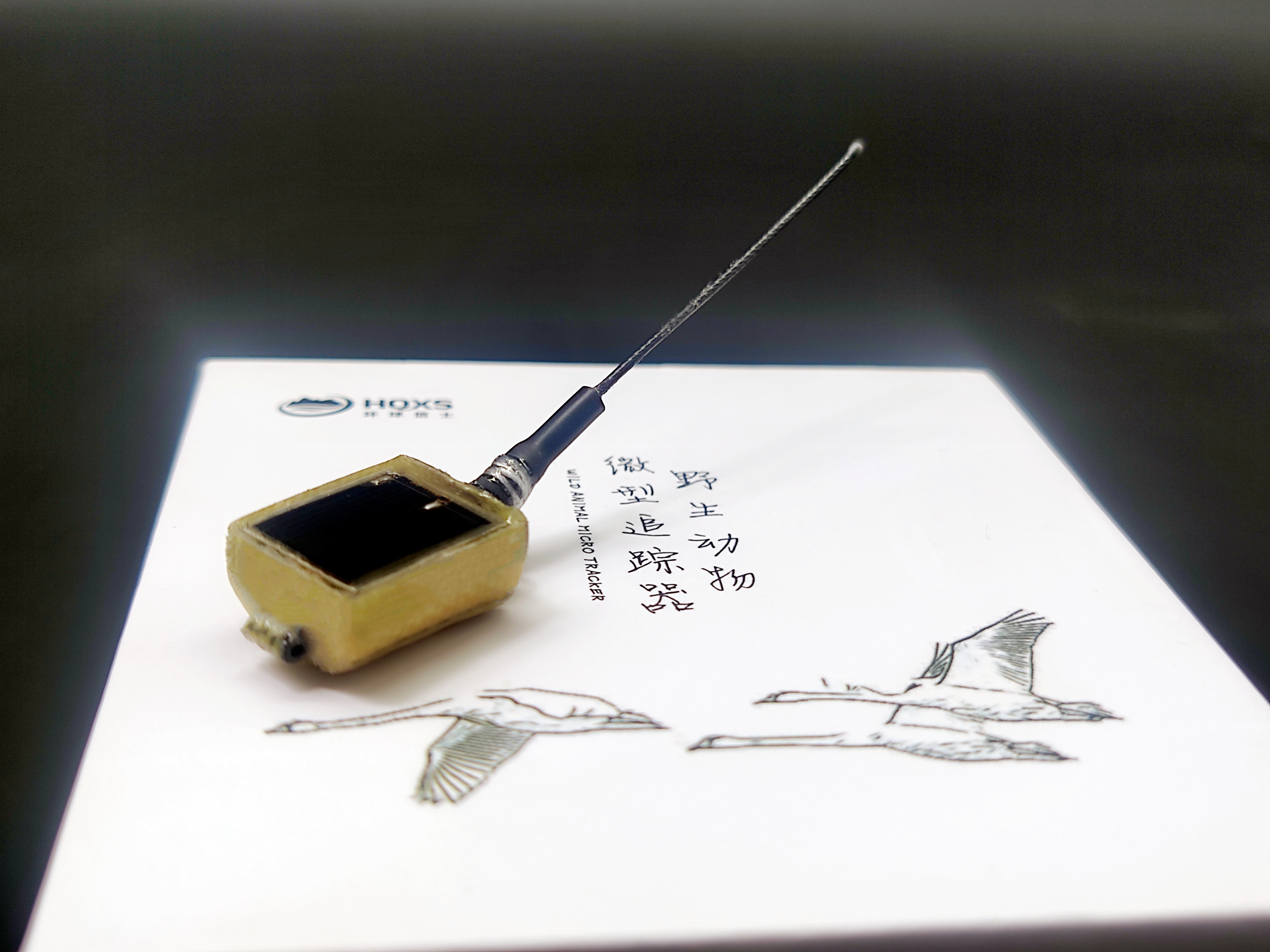 97622��������Ʒ��,����Ұ������׷��,��������׷����,����׷����