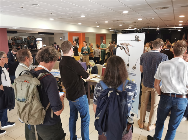 97622��������Ʒ��,����Ұ������׷��,��������׷����,����׷����