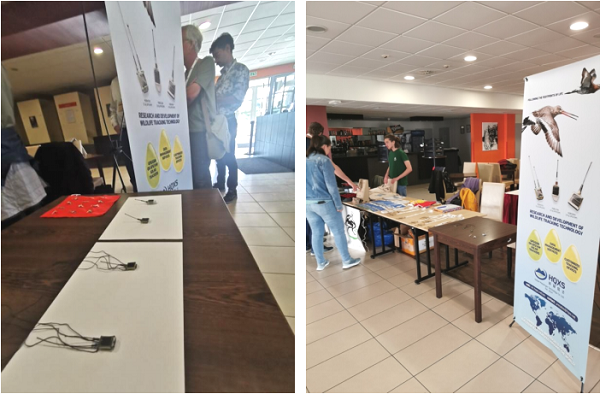 97622��������Ʒ��,����Ұ������׷��,��������׷����,����׷����