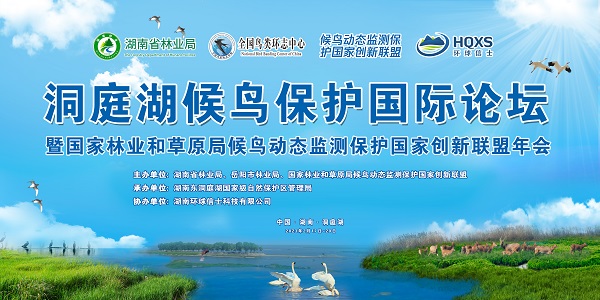 97622��������Ʒ��,����Ұ������׷��,��������׷����,����׷����