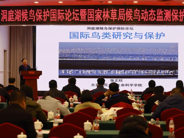 97622��������Ʒ��,����Ұ������׷��,��������׷����,����׷����