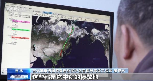 97622��������Ʒ��,����Ұ������׷��,��������׷����,����׷����