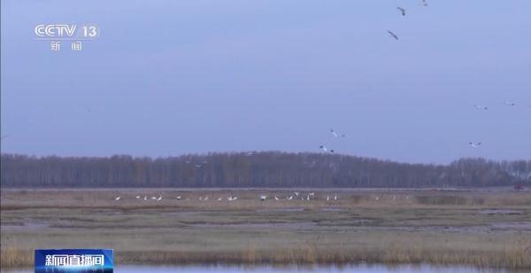 97622��������Ʒ��,����Ұ������׷��,��������׷����,����׷����