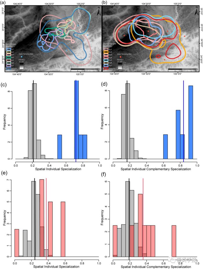 97622��������Ʒ��,����Ұ������׷��,��������׷����,����׷����