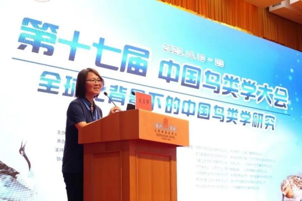 97622��������Ʒ��,����Ұ������׷��,��������׷����,����׷����