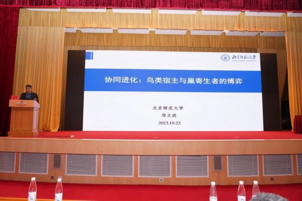 97622��������Ʒ��,����Ұ������׷��,��������׷����,����׷����