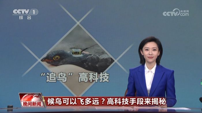 97622��������Ʒ��,����Ұ������׷��,��������׷����,����׷����