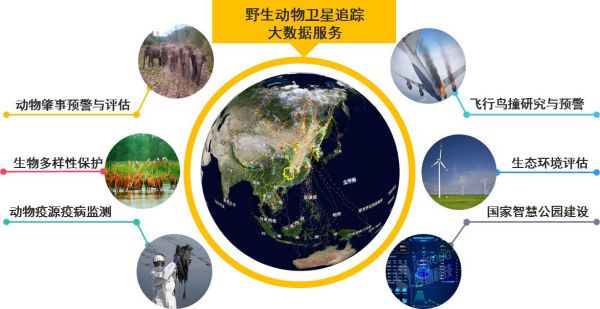 97622��������Ʒ��,����Ұ������׷��,��������׷����,����׷����