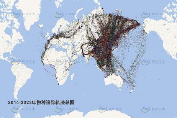 97622��������Ʒ��,����Ұ������׷��,��������׷����,����׷����