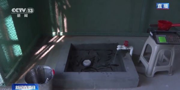 97622��������Ʒ��,����Ұ������׷��,��������׷����,����׷����