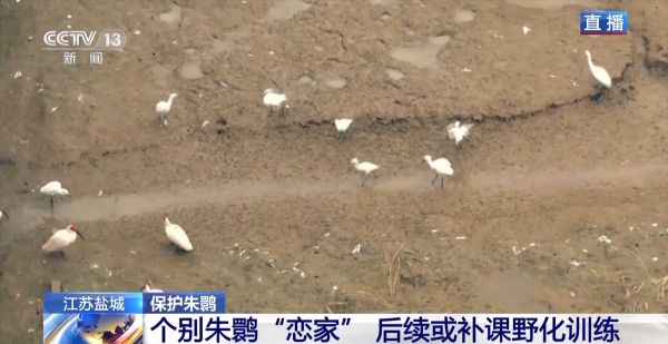 97622��������Ʒ��,����Ұ������׷��,��������׷����,����׷����