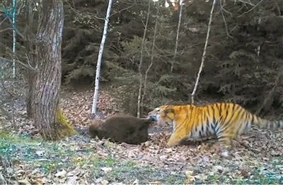 97622��������Ʒ��(�й���)-�ٷ���վ