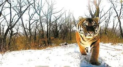 97622��������Ʒ��(�й���)-�ٷ���վ