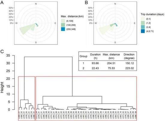 97622��������Ʒ��,����Ұ������׷��,��������׷����,����׷����
