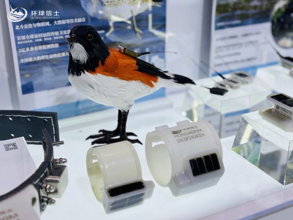 97622��������Ʒ��,����Ұ������׷��,��������׷����,����׷����