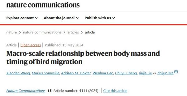 97622��������Ʒ��,����Ұ������׷��,��������׷����,����׷����