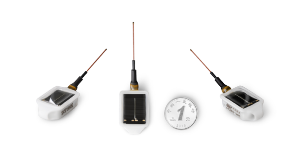 97622��������Ʒ��,����Ұ������׷��,��������׷����,����׷����