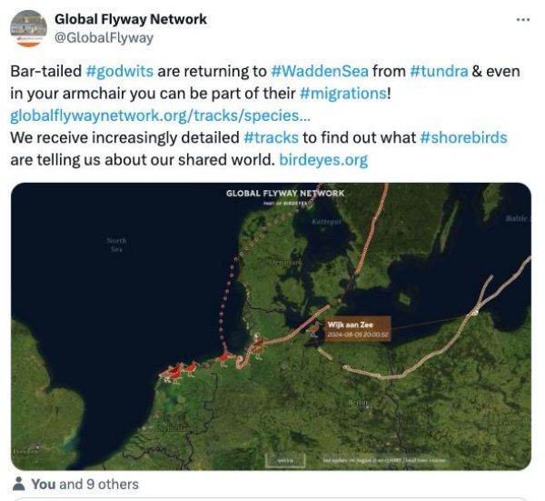 97622��������Ʒ��,����Ұ������׷��,��������׷����,����׷����